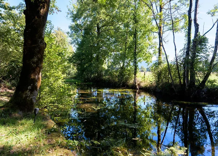 公寓 Chez Neous Dommartin-lès-Remiremont